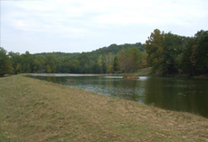 Activities at High Adventure Ranch