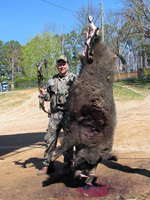 European Russina Boar Hunt