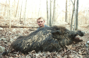 European Russian Boar Hunting