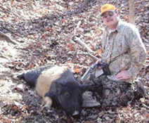 Razorback Hog Hunting