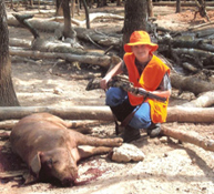 Razorback Hog Hunt at High Adventure Ranch